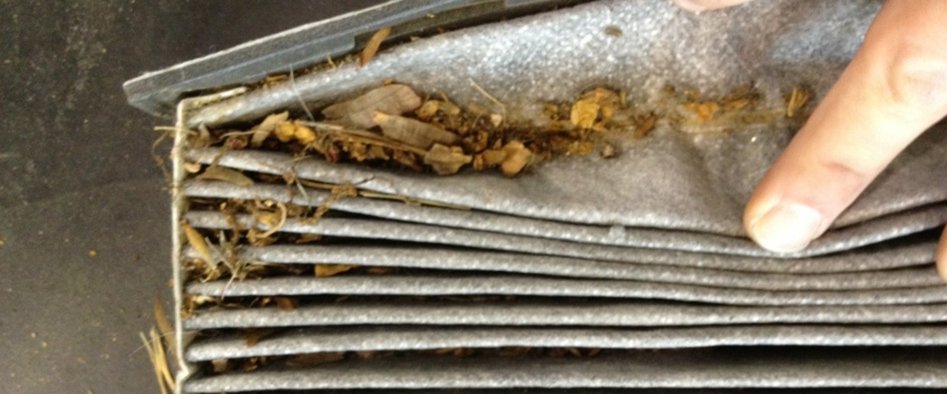 What Happens When Your Cabin Air Filter is Clogged?