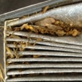What Happens When Your Cabin Air Filter is Dirty?