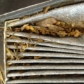 Do I Need a New Cabin Air Filter? Signs You Should Replace It