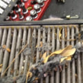 Is it Safe to Drive Without a Cabin Air Filter?