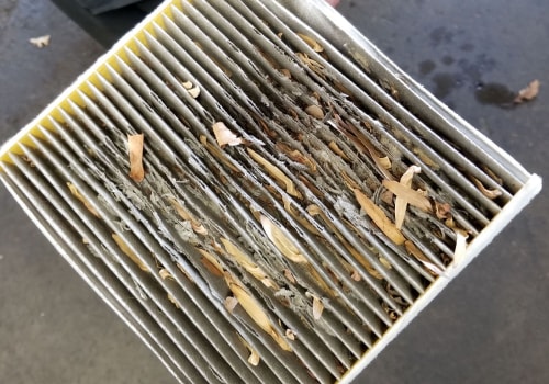 Do You Really Need to Change Your Cabin Air Filter?