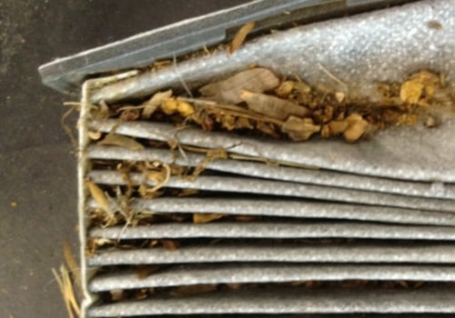 Do You Really Need to Change Your Cabin Air Filter?