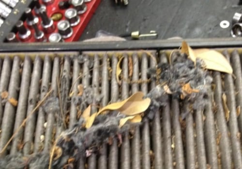 Is it Safe to Drive Without a Cabin Air Filter?